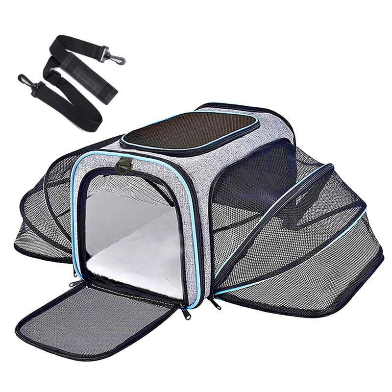 휴대용 통기성 접이식 고양이 및 소형견 애완동물 이동  - Foldable Backpack Small 리뷰 및 가격